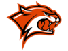 Wildcats Cut Orange Image